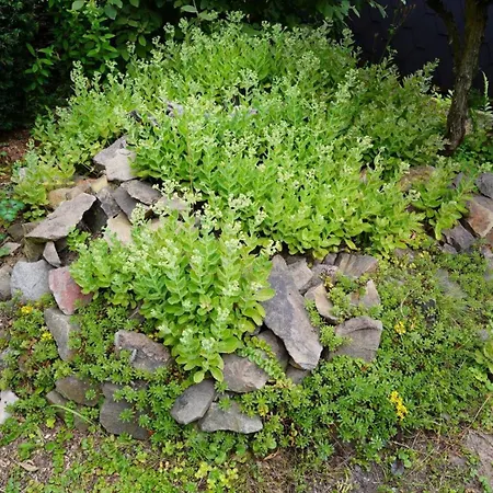 Parque de Campismo Manjas